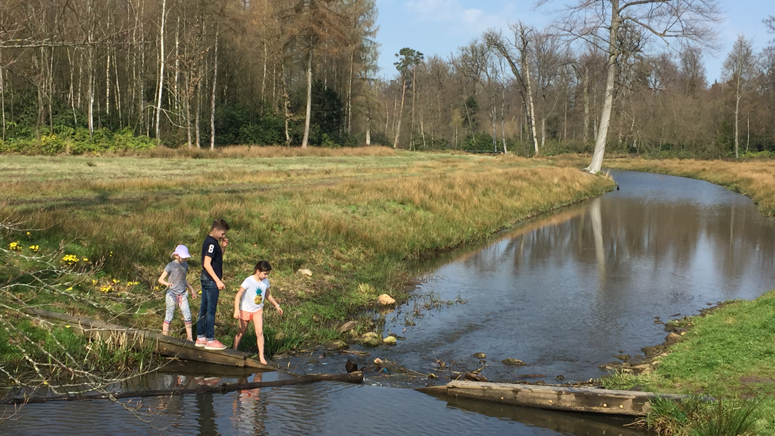 Wij maken Nederland