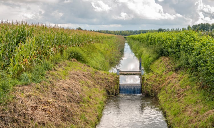 werkprogramma Zoetwater Oost-Nederland