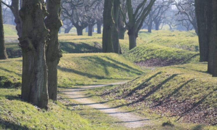 Verkenning windenergie in bosgebieden