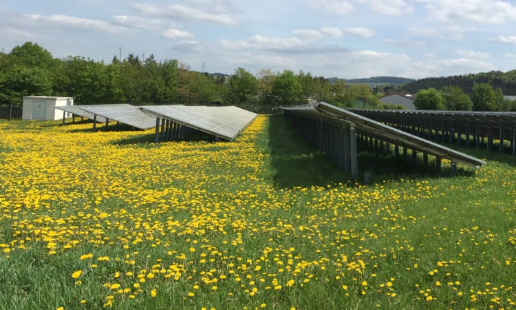 Beleidsverkenning zonne-energie in Flevoland