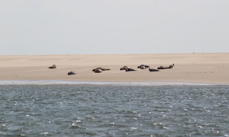 Waddengebied beter bereikbaar