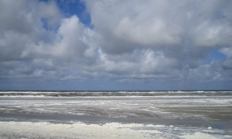 CO2–neutrale Wadden Duitsland, Denemarken en Nederland, de drie landen aan de Waddenzee, hebben in 2010 afgesproken dat ze streven naar een CO2-neutrale Waddenzeeregio in 2030.