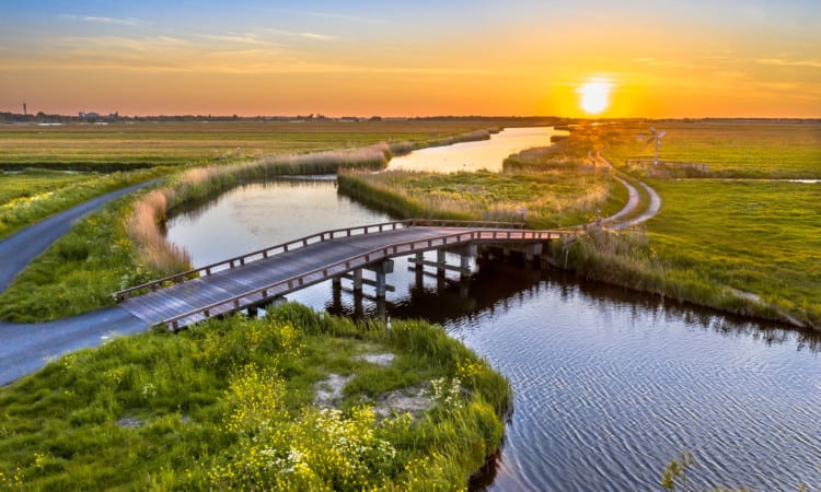 Zaanse linten