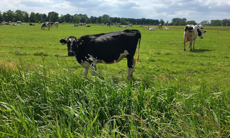 Landbouwtransitie Salentein: denken én doen