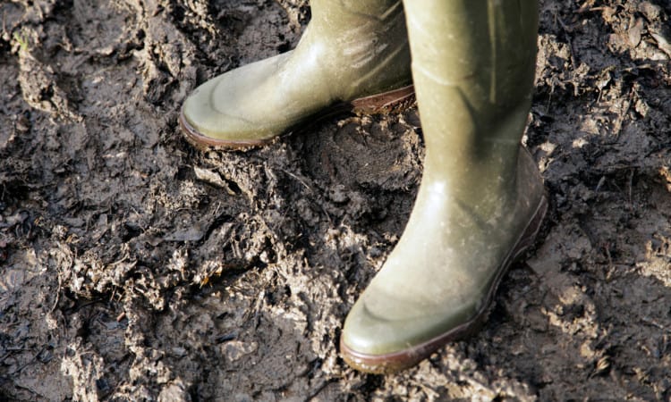 Duits-Nederlands sedimentmanagement