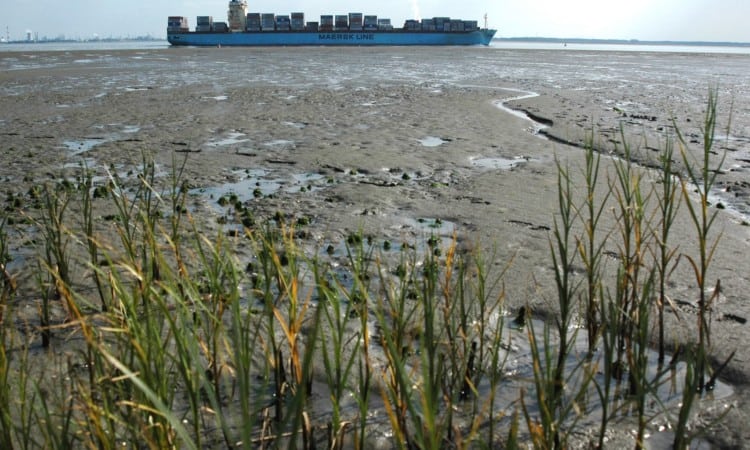 Daar waar een rivier in zee uitmondt, vermengen zoet en zout water en is er getijdewerking met hoog en laag water. Het is ingewikkeld om bestuur van deze estuaria goed te organiseren