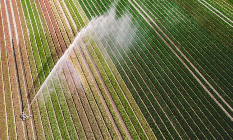 Plannen maken voor een groenere akkerbouw