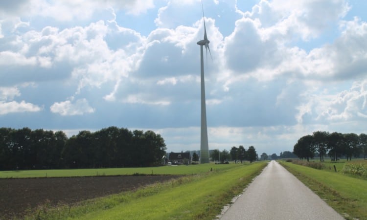 Windmolens en bomen planten