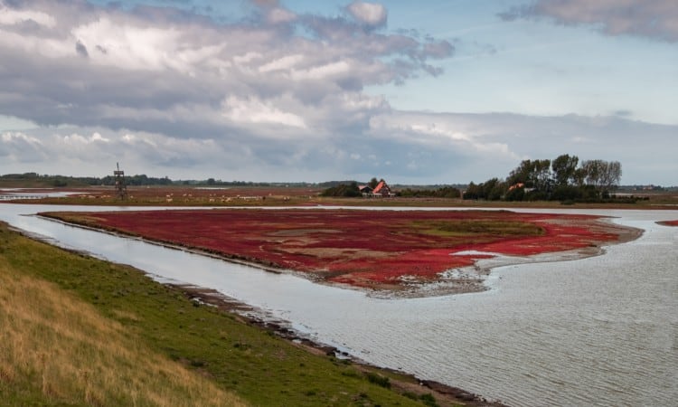 Een Zeeuwse strategie voor klimaatadaptatie