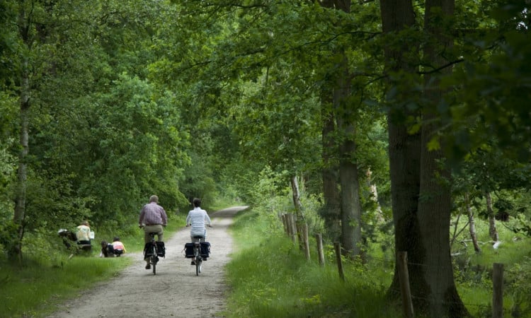 Betrek burgers bij toekomst bomen en bos