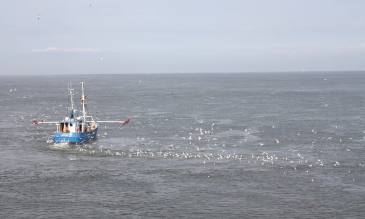 Kennis over de Noordzee verkennen