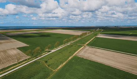 Natuur inclusieve landbouw in de noordelijke kleischil