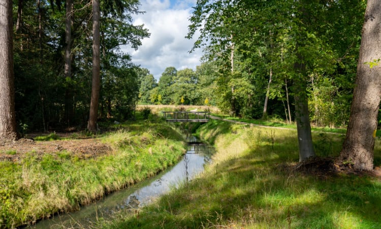 Blog Maartje Lerend Evalueren