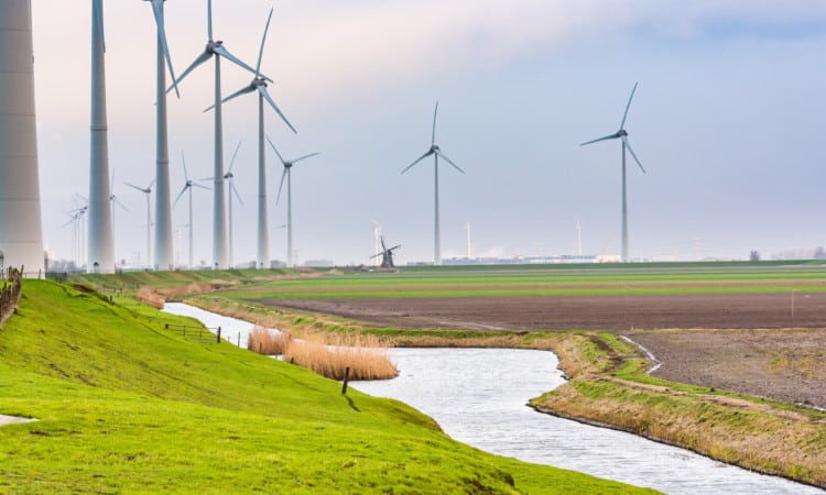 Dubbele dijk combineert waterveiligheid, natuur en zilte teelt