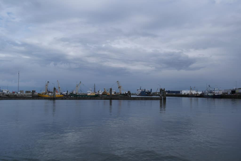 Vrijwel alle Nederlandse visserijsectoren hebben akkoorden met overheden en natuurorganisaties gesloten over hun activiteiten in Natura2000-gebieden in de Wadden- en Noordzee. 