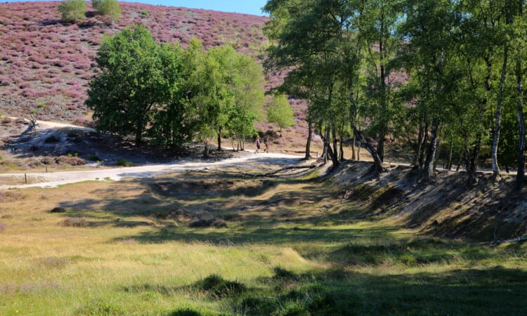 Wandelen op de Posbank