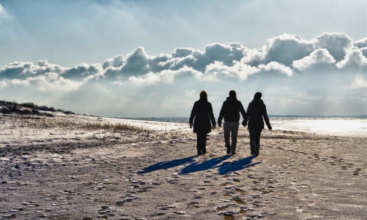 Beach Waddensea