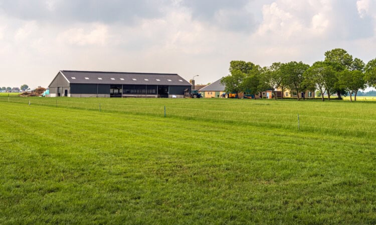 Modern Dutch farm with lots of grassland in the province of North Brabant. The photo was taken on a slightly cloudy day at the end of the spring season.