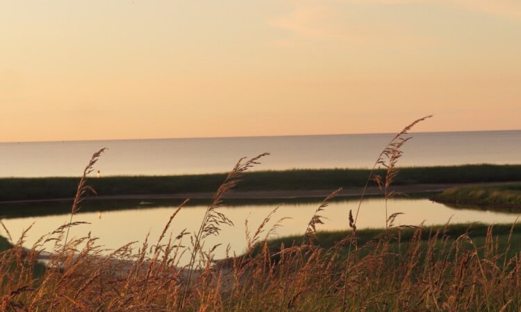 Wadden