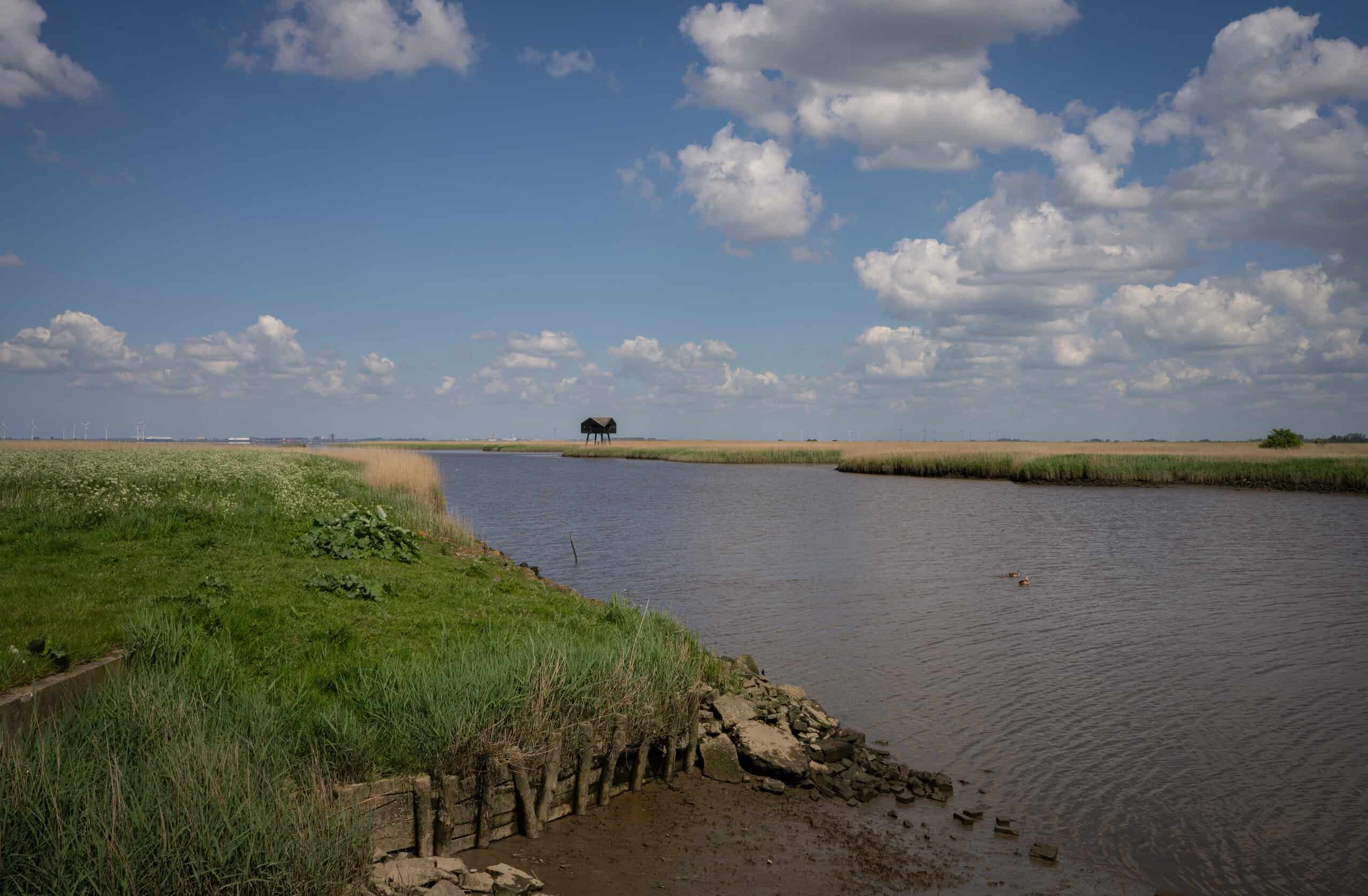 Bird watching hut De Kiekkaaste, with a view over the Eems-Dollard. This is the only Dutch bird watching hut outside the dikes.